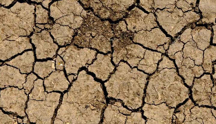 Suelo poroso antes de ser trabajo.